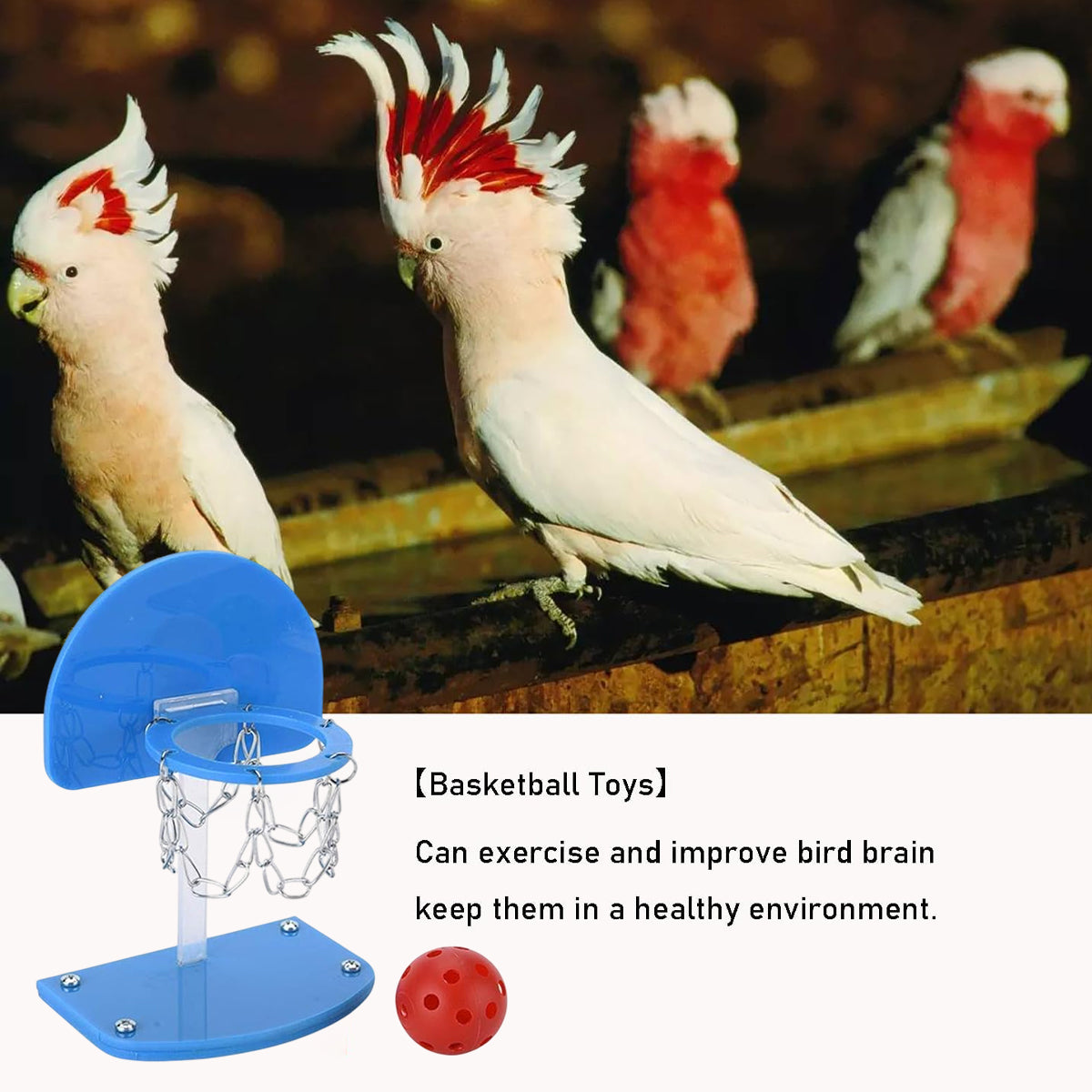 Parrot Interactive Training Toy Mini Basketball Hoop Game