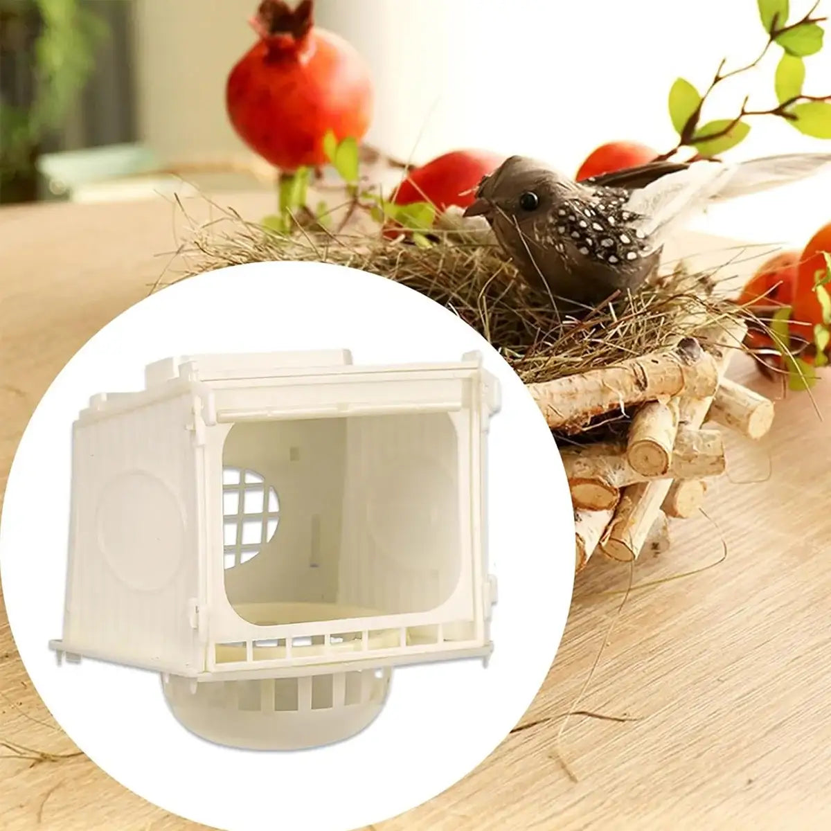 Plastic Bird Nesting Box with Observation Window