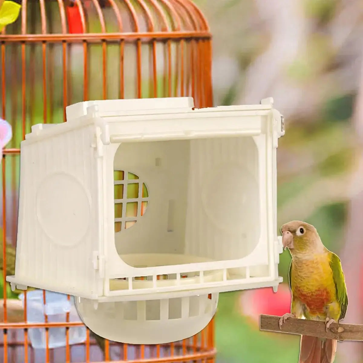 Plastic Bird Nesting Box with Observation Window