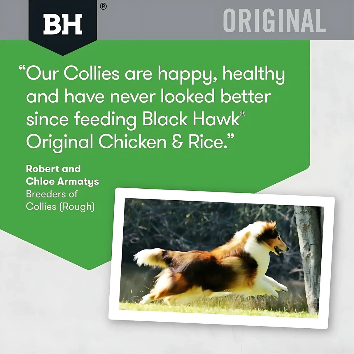 Black Hawk Dog Food Chicken & Rice 3kg/10kg Adult Premium Dry Dog Food