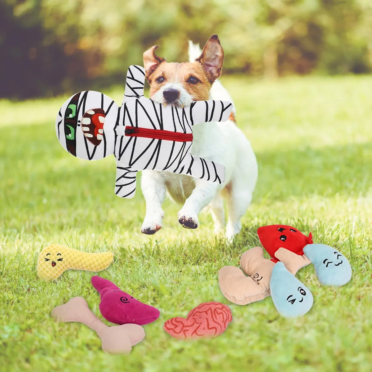 Mummy Plush Dog Toy Set 9-in-1 Interactive