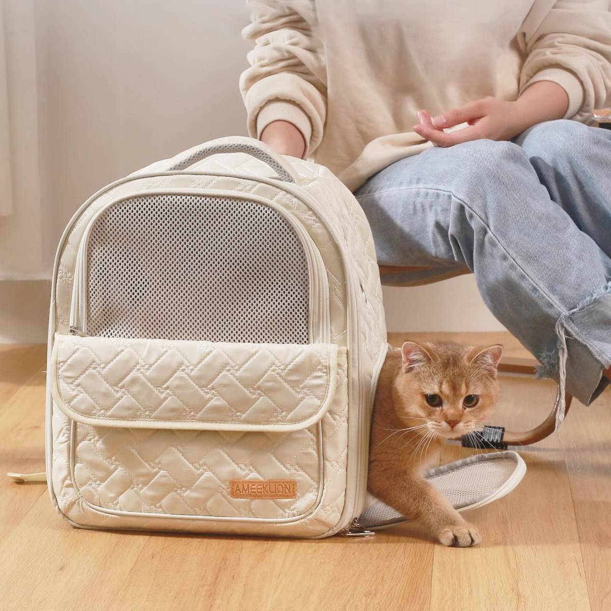 Breathable Pet Backpack For Cats And Small Dogs