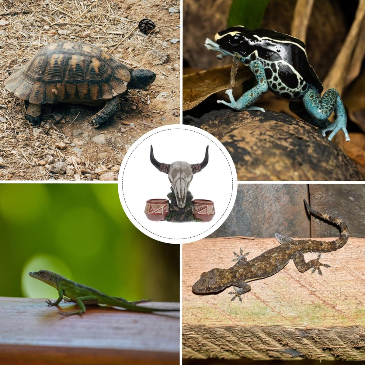 Bull Head Reptile Water Bowl High-Quality Non-Toxic Resin Reptile Dish Decor