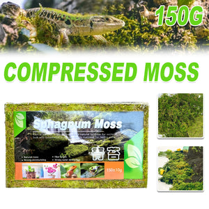 150g Compressed Natural Moss Mat Substrate
