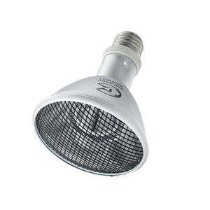 Reptile Heat Lamp 50W - Cleen Far Infrared Carbon Fiber Bulb