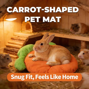Carrot Shaped Pet Mat