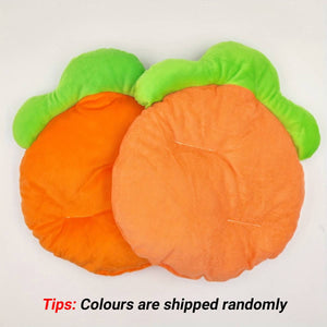 Carrot Shaped Pet Mat