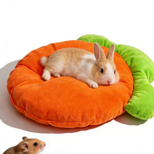 Carrot Shaped Pet Mat