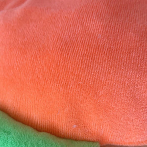 Carrot Shaped Pet Mat