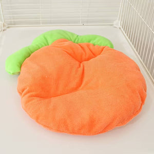 Carrot Shaped Pet Mat