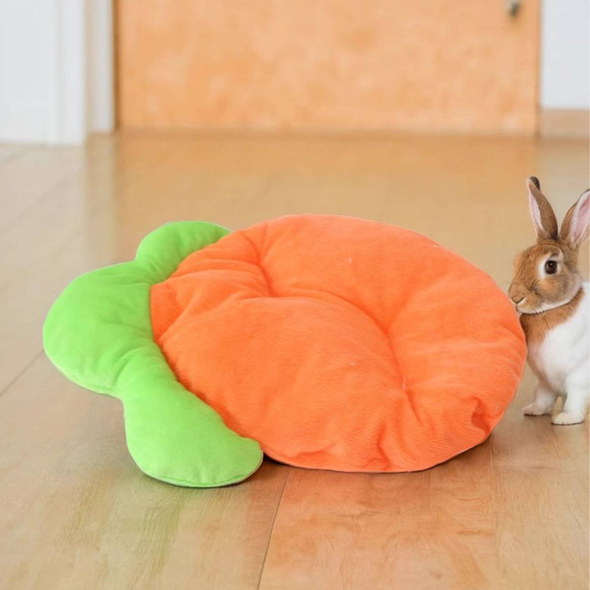 Carrot Shaped Pet Mat
