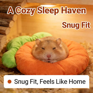 Carrot Shaped Pet Mat