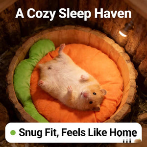 Carrot Shaped Pet Mat