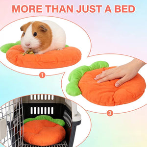 Carrot Shaped Pet Mat