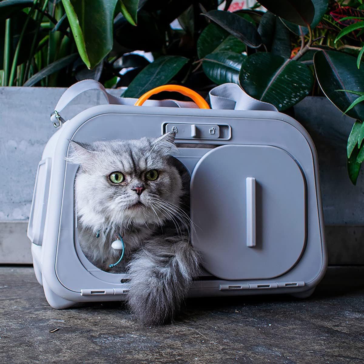 Portable Cat Carrier with Thermometer and Sherpa Pad