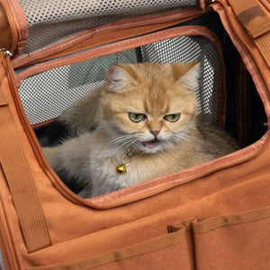 Expandable Pet Travel Backpack Carrier Breathable Cat Bag