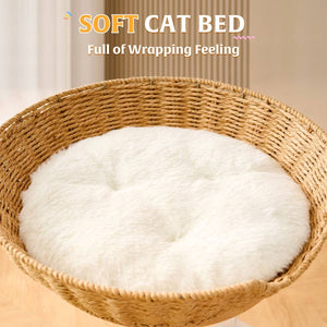 Solid Wood Cat Tree With Sisal Post And Capsule