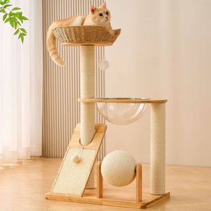 Solid Wood Cat Tree With Sisal Post And Capsule