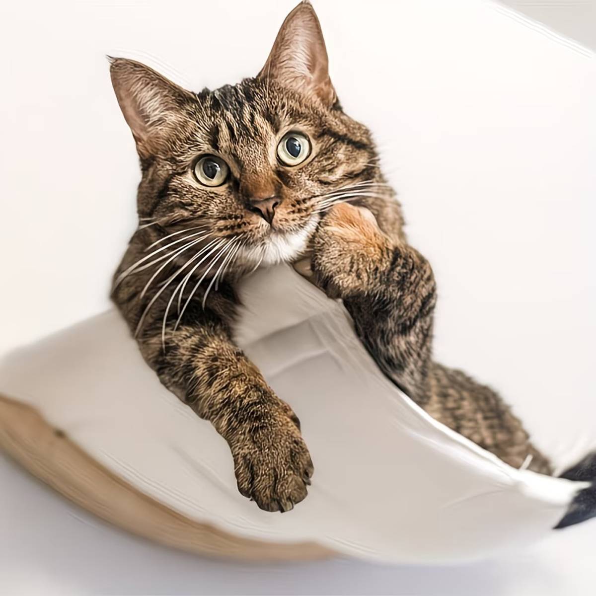 Wall Mounted Cat Hammock Bed