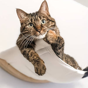 Wall Mounted Cat Hammock Bed