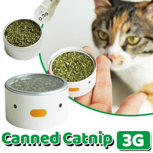 Catnip Stick - Cat Grass Teeth Cleaning Dental Chew