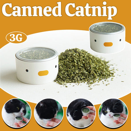 Catnip and silvervine chew sticks for cats – product view 2