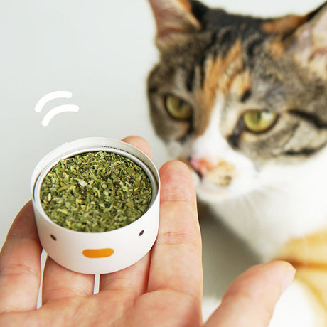 Catnip and silvervine chew sticks for cats – product view 7