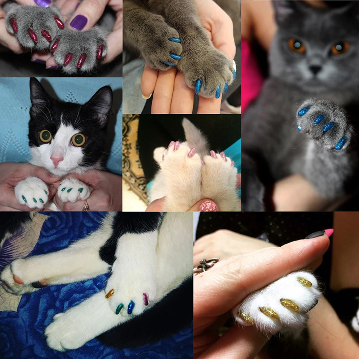 Soft Cat Nail Caps Anti-Scratch Claw Covers (100pcs)