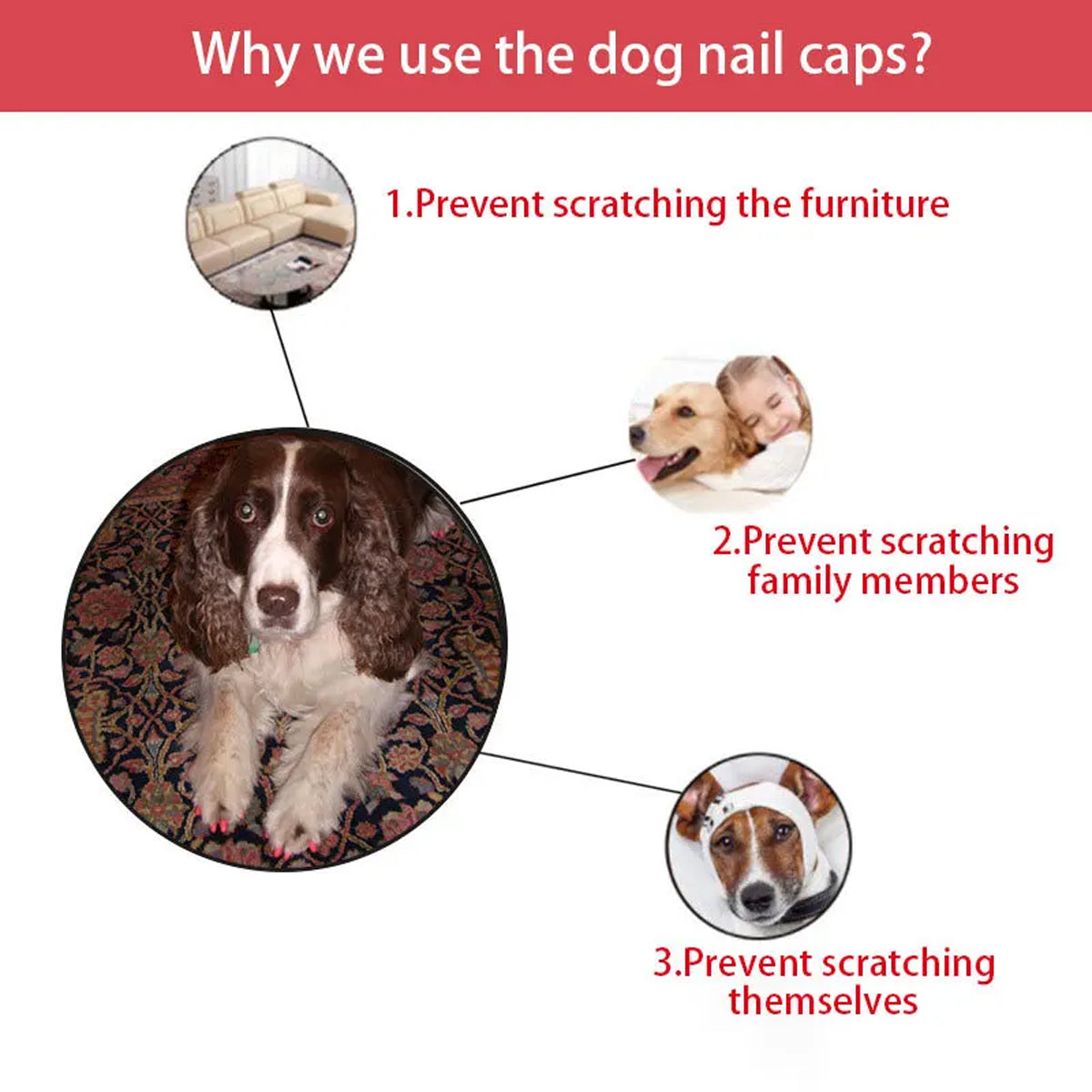 Soft Cat Nail Caps Anti-Scratch Claw Covers (100pcs)