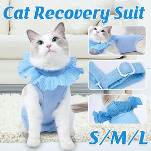 Cat Postoperative Recovery Suit