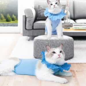 Cat Postoperative Recovery Suit