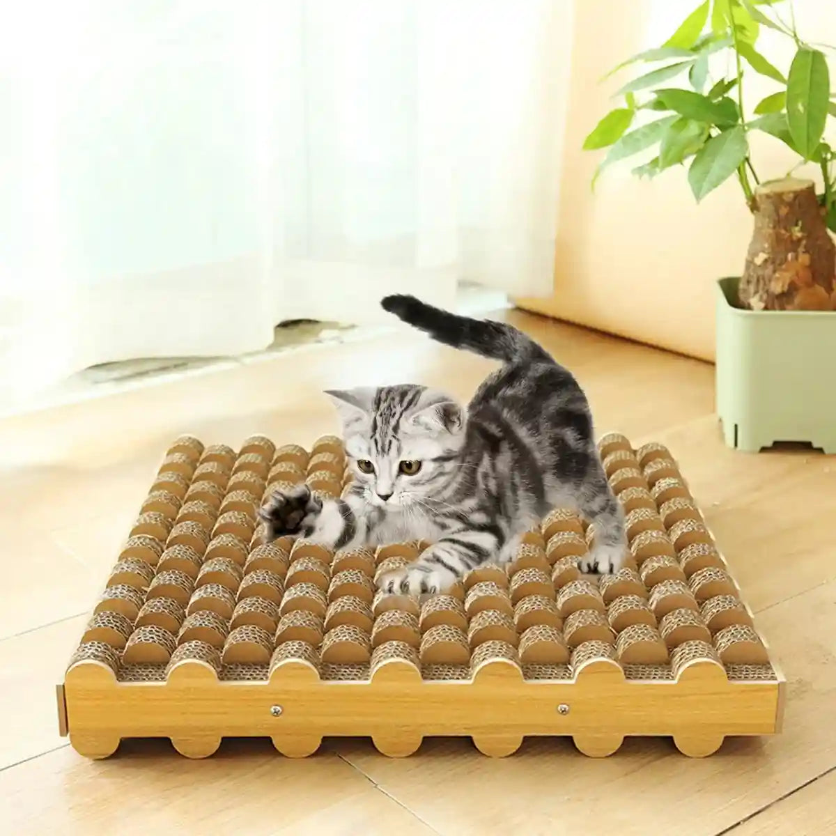 Cat Scratch Board Corrugated Paper Scratcher & Lounger With Massage Design