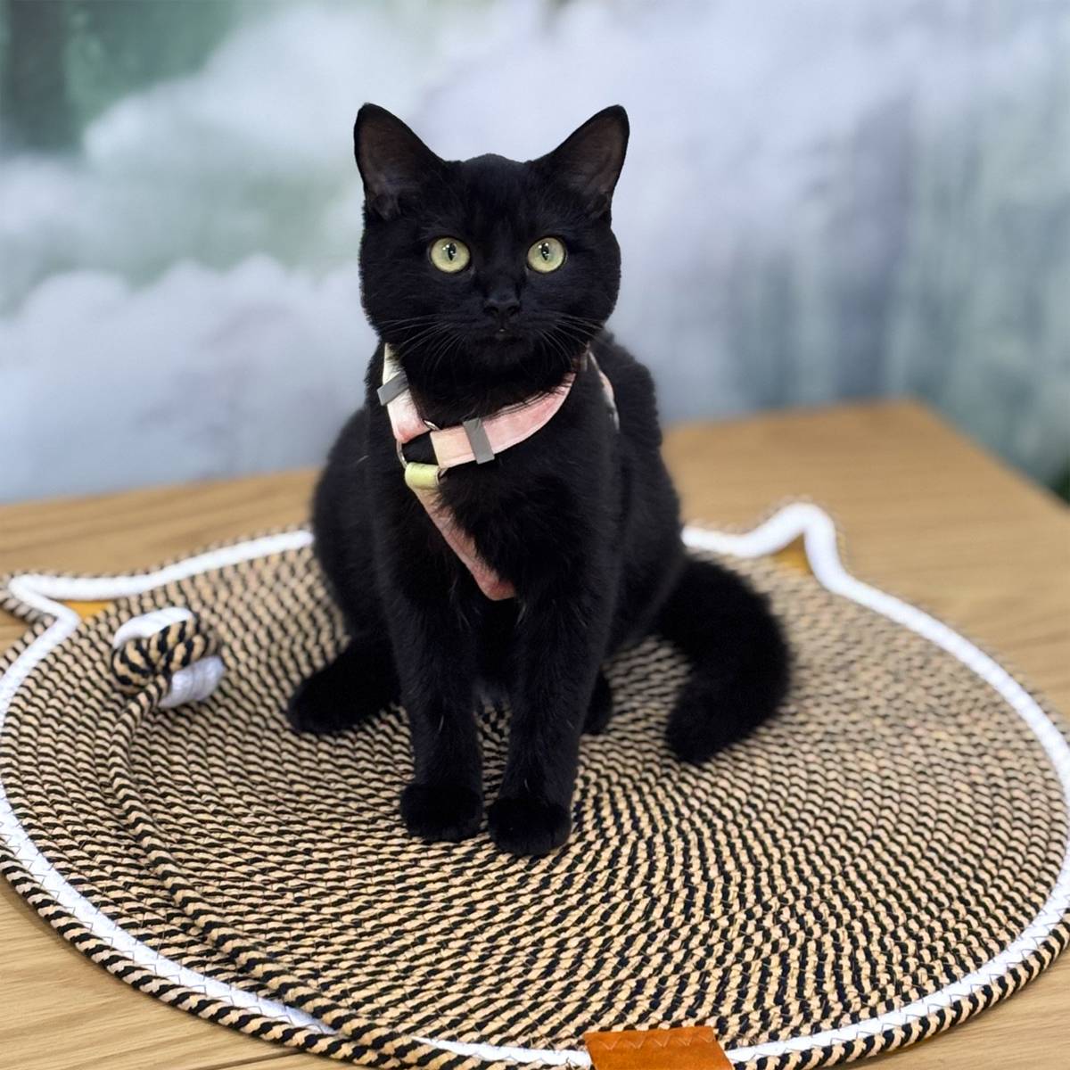 Cotton Rope Cat Scratcher Mat