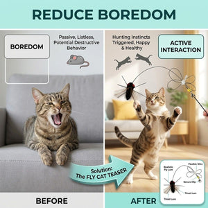 Fly Cat Teaser Attachment with 35cm Line