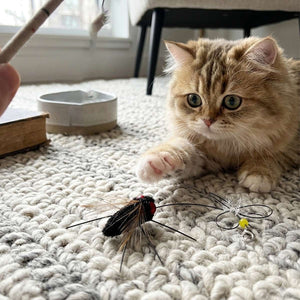 Fly Cat Teaser Attachment with 35cm Line
