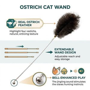100cm Retractable Ostrich Feather Cat Wand