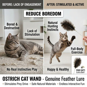 100cm Retractable Ostrich Feather Cat Wand