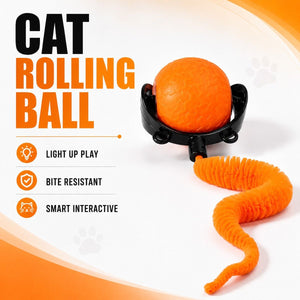 Orange Interactive Cat Rolling Ball with Tail