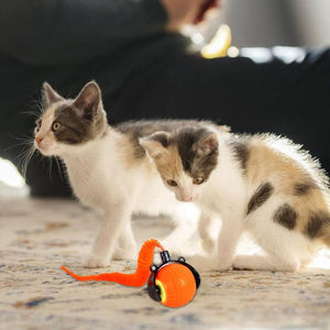 Orange Interactive Cat Rolling Ball with Tail