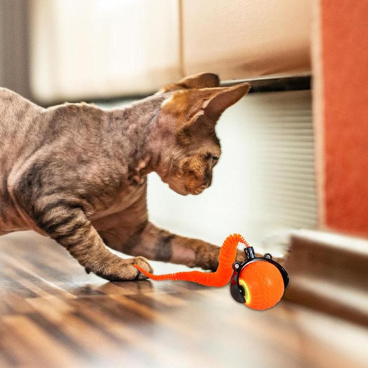 Orange Interactive Cat Rolling Ball with Tail