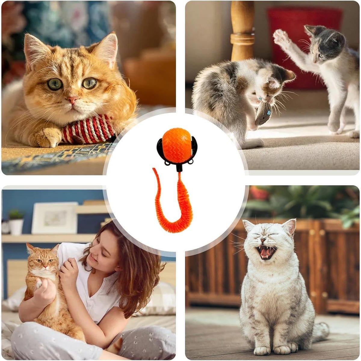 Orange Interactive Cat Rolling Ball with Tail