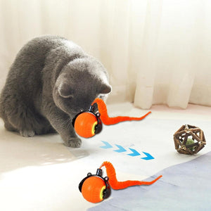 Orange Interactive Cat Rolling Ball with Tail