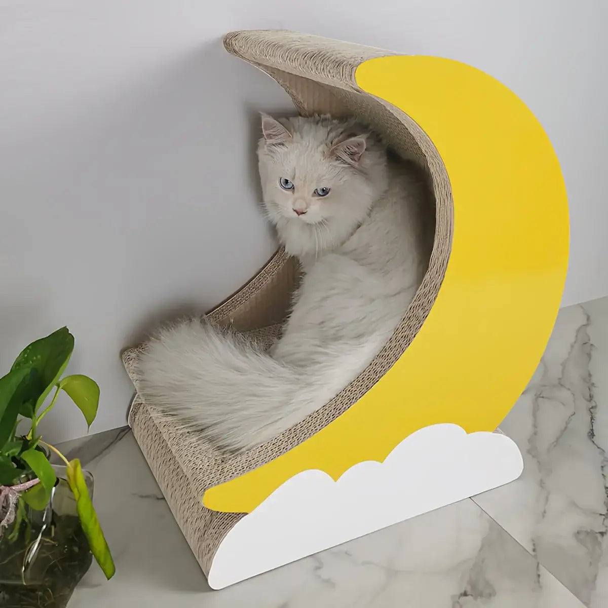 Moon Shape Cat Scratching Lounge with Cloud Base