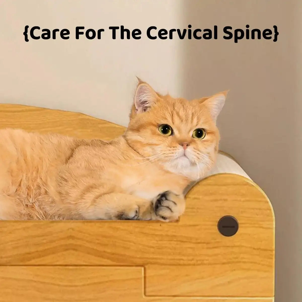 Premium 2-in-1 Cat Scratching Bed with Durable Wooden Frame for Play