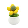 Catnip Flower Pot Toy for Cats Interactive Chew & Play Toy