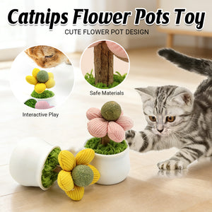 Catnip Flower Pot Toy for Cats Interactive Chew & Play Toy