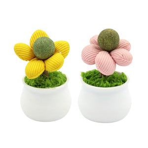 Catnip Flower Pot Toy for Cats Interactive Chew & Play Toy