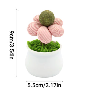Catnip Flower Pot Toy for Cats Interactive Chew & Play Toy