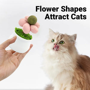 Catnip Flower Pot Toy for Cats Interactive Chew & Play Toy