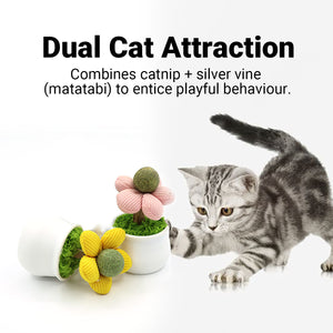 Catnip Flower Pot Toy for Cats Interactive Chew & Play Toy